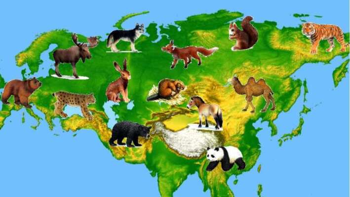 Тест: Назовете родные континенты животных?